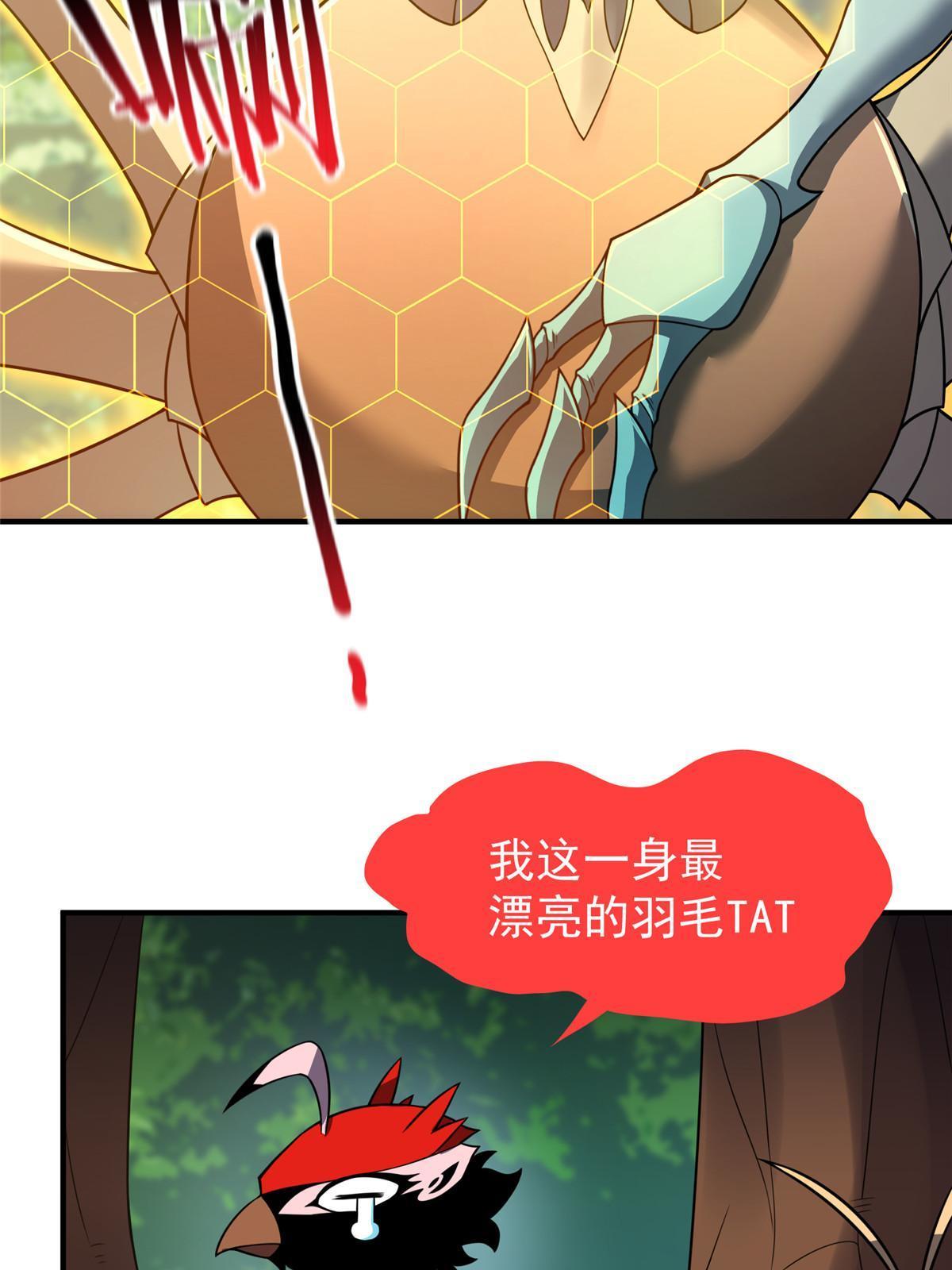 112 木孔雀39