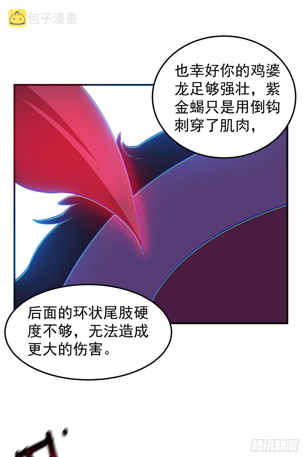 028 鸡婆龙30