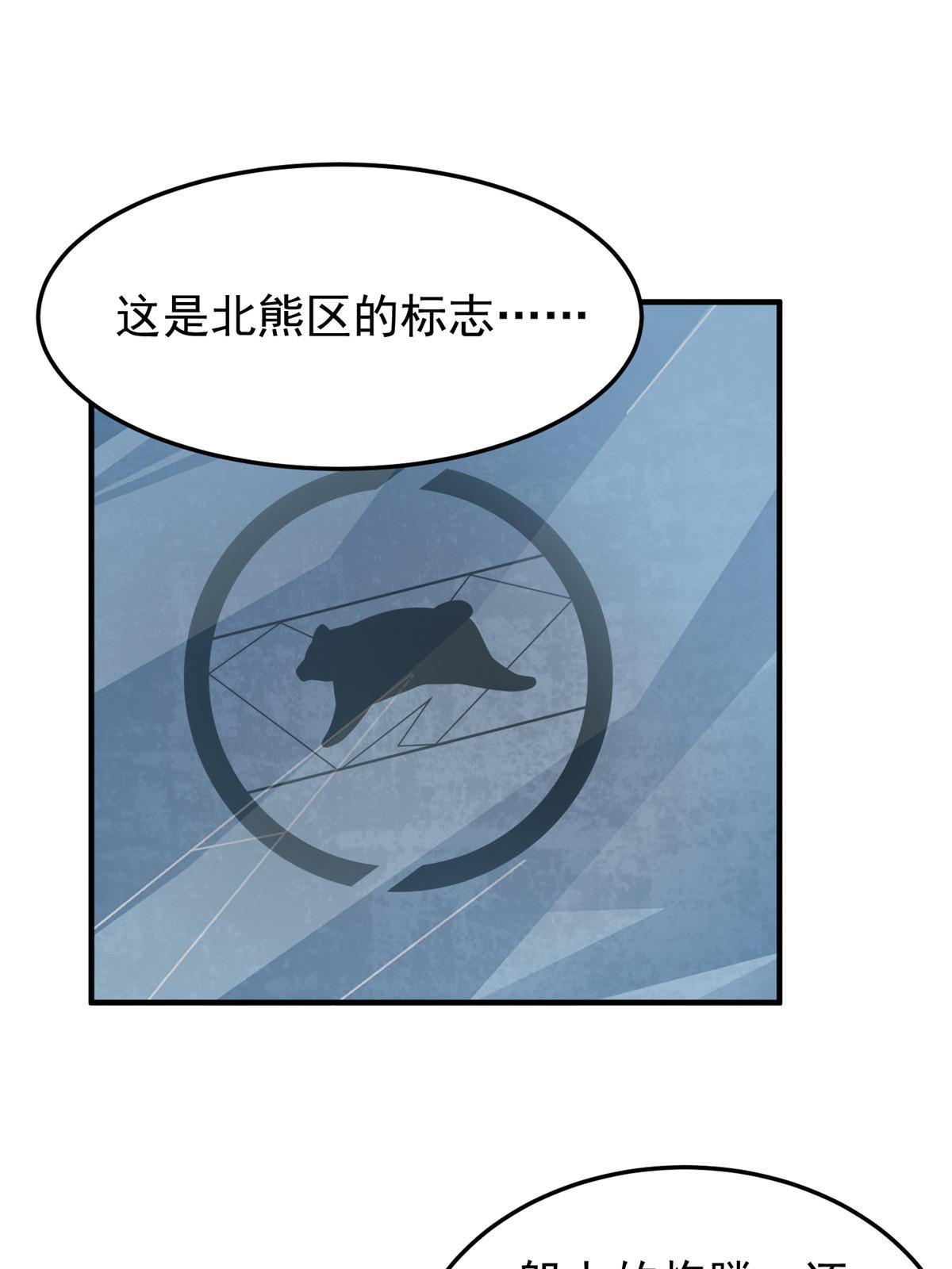 152 怪力黄眉企鹅23