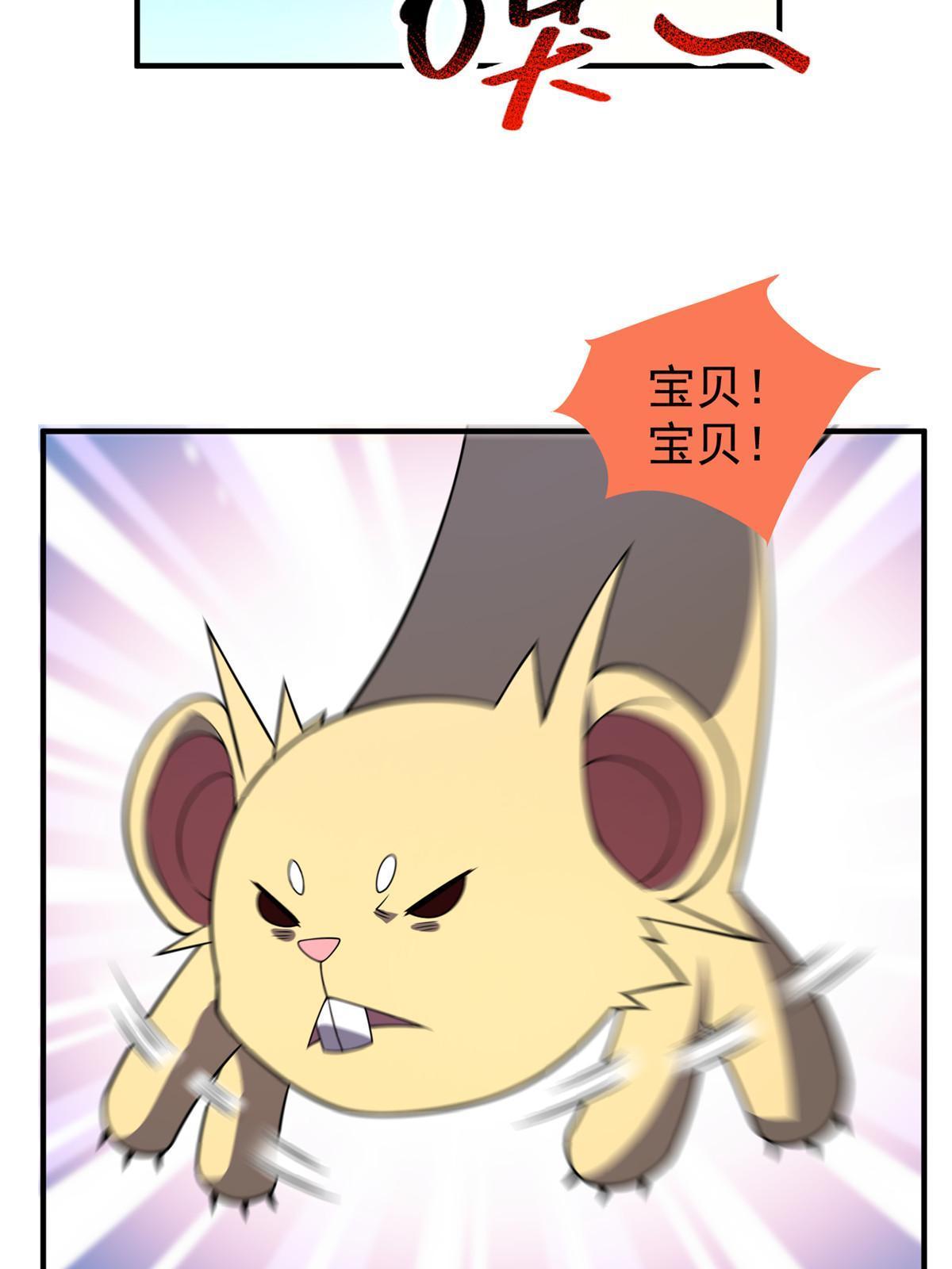 156 新的材料12
