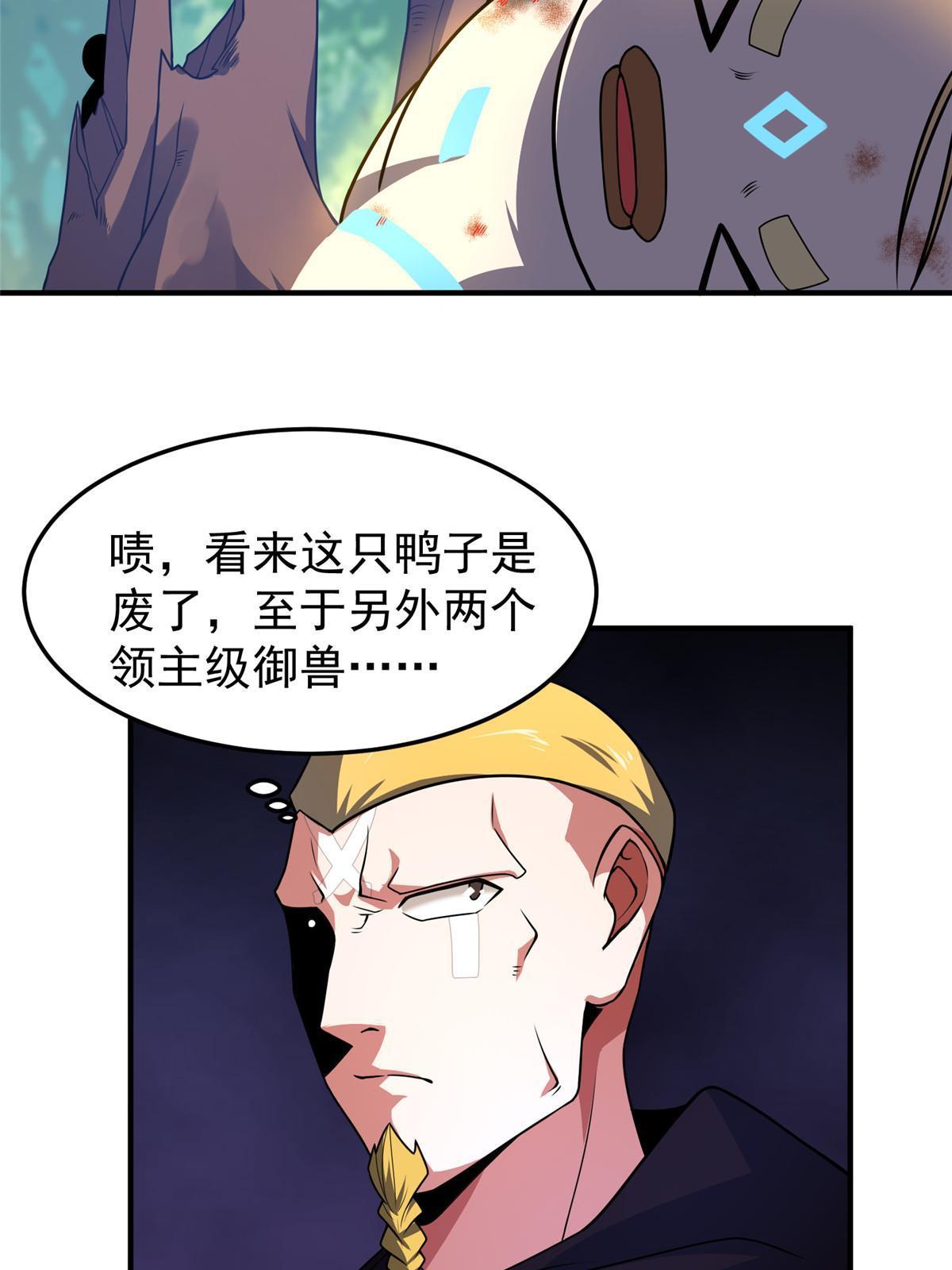 112 木孔雀48