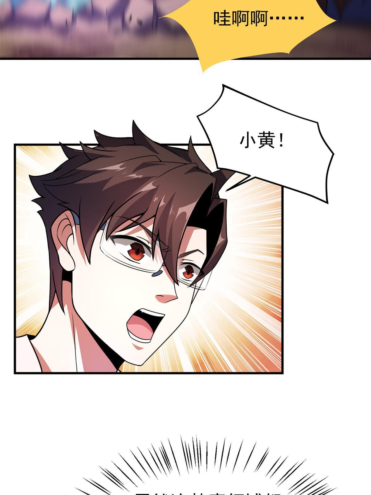 112 木孔雀46