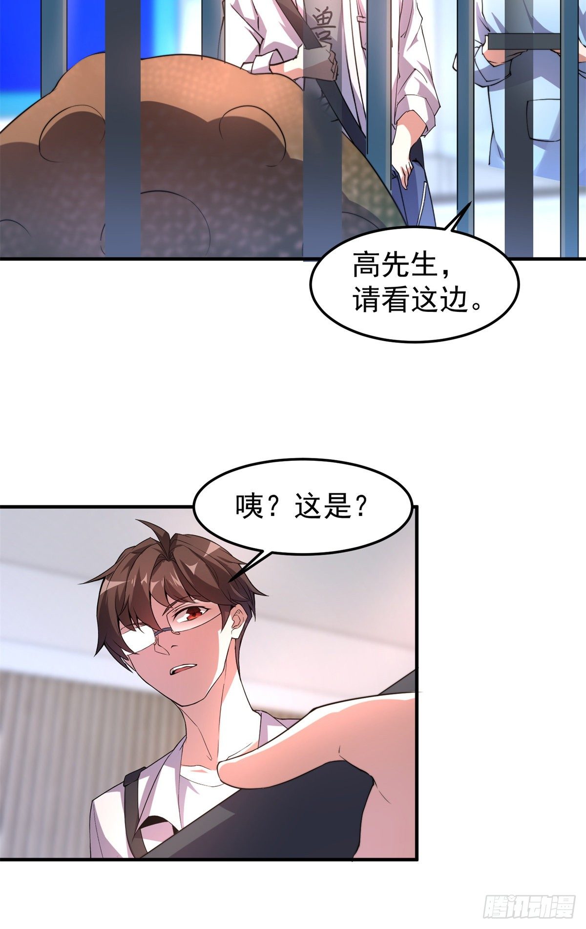 037 空腹金蟾41