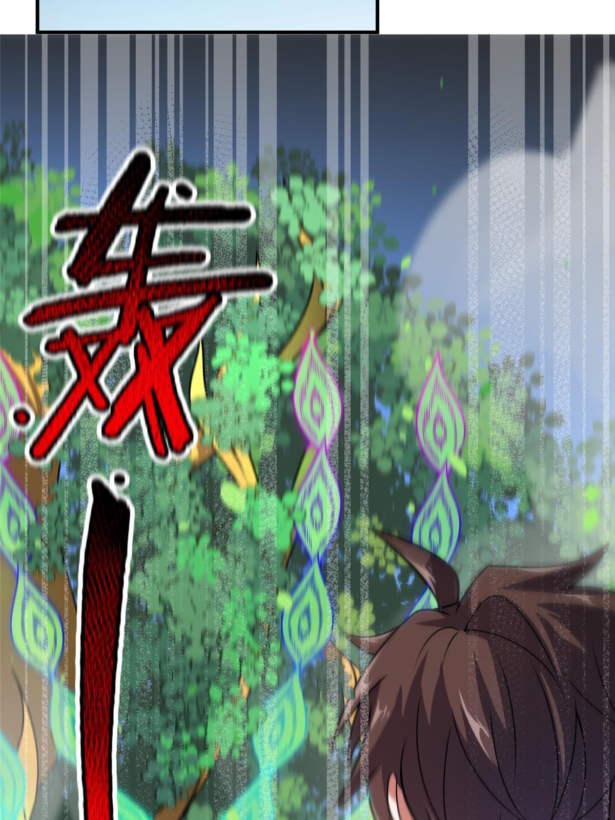 112 木孔雀50