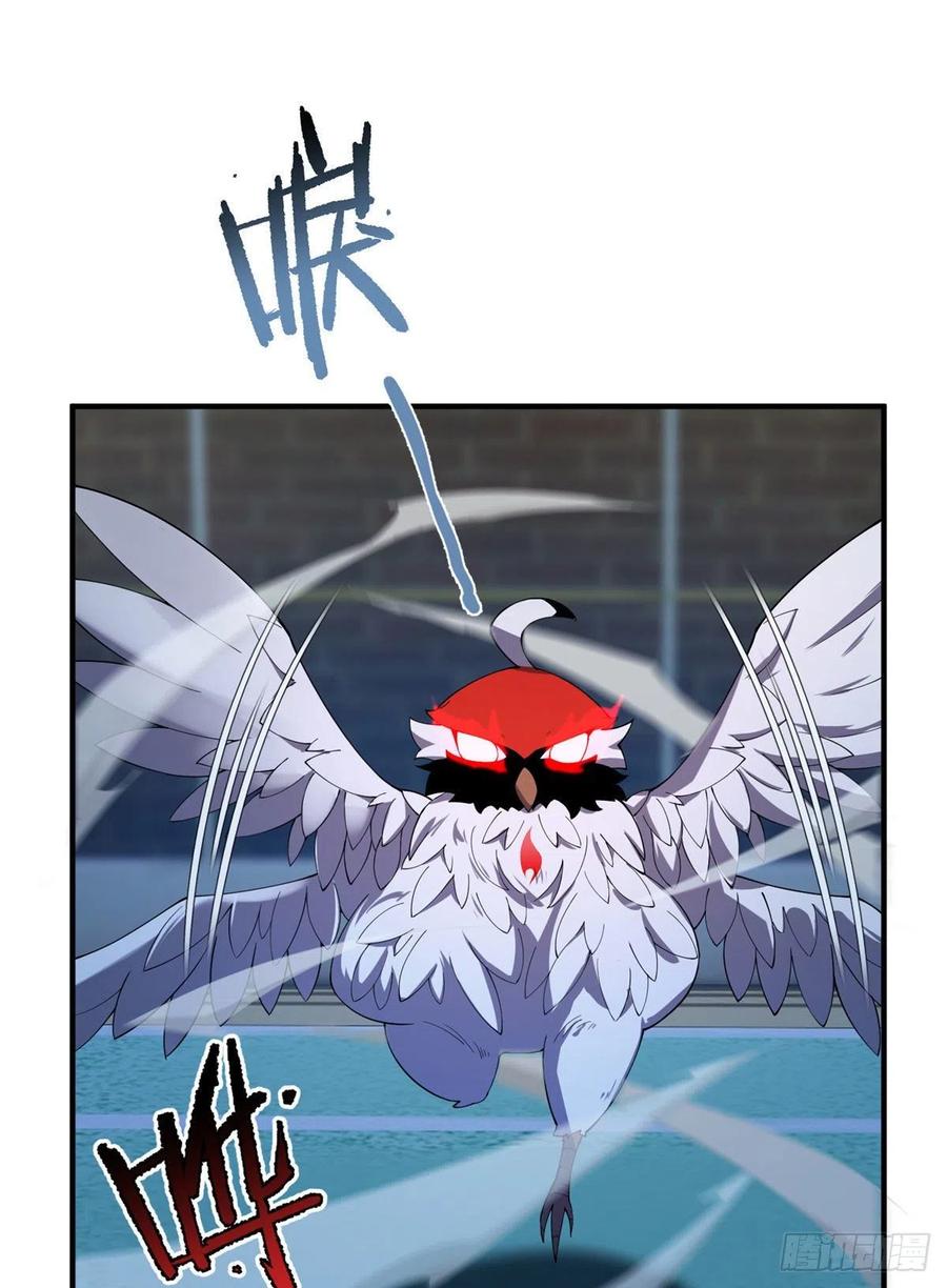 77 肥鹤的突破47