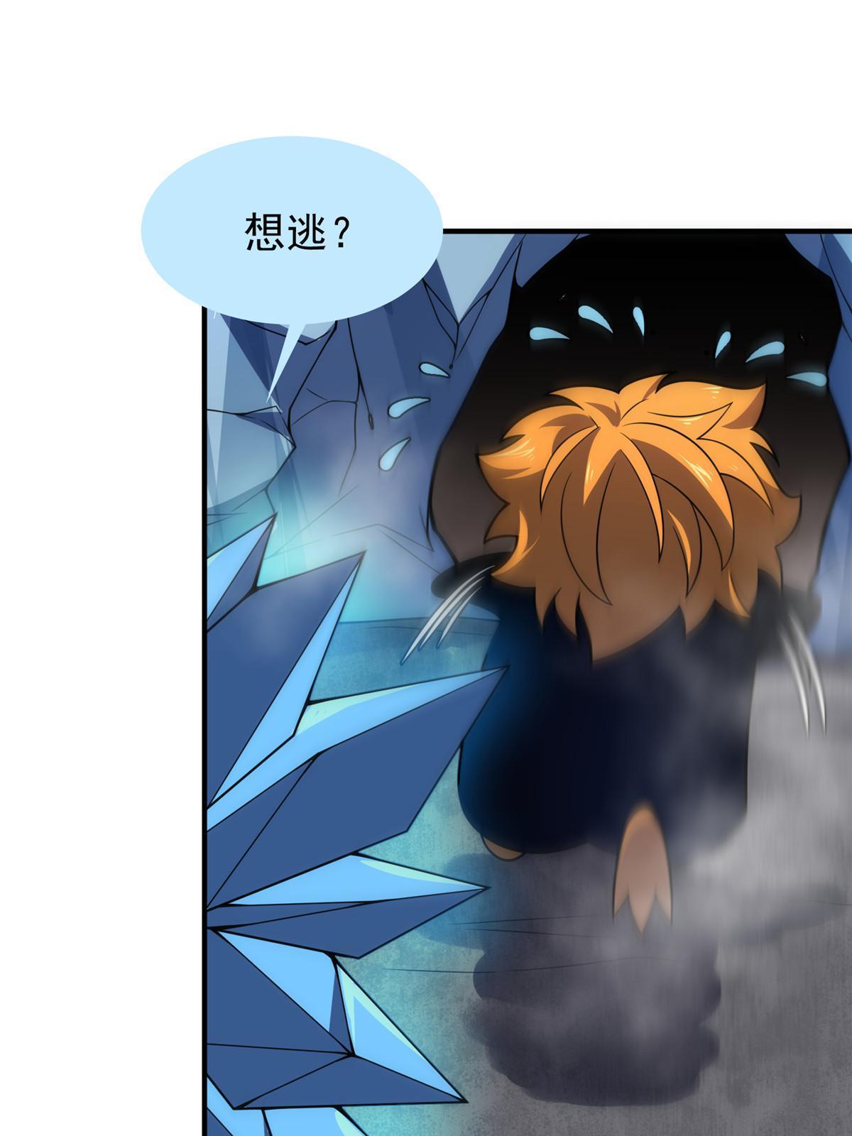 152 怪力黄眉企鹅56