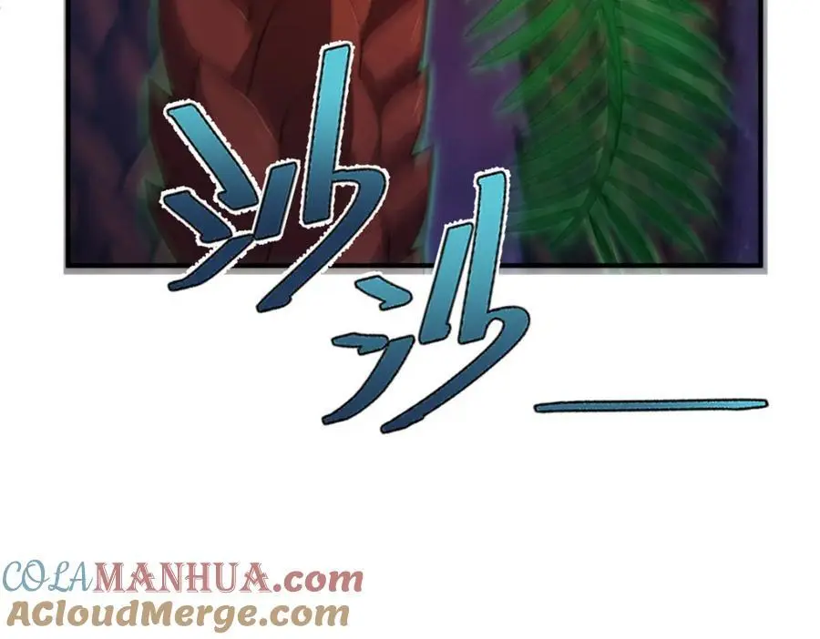 243 新的通道开启116