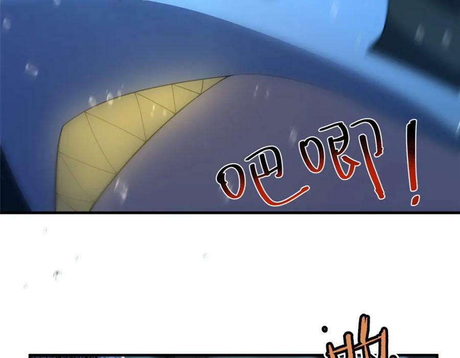 208 胖大海的牙套86