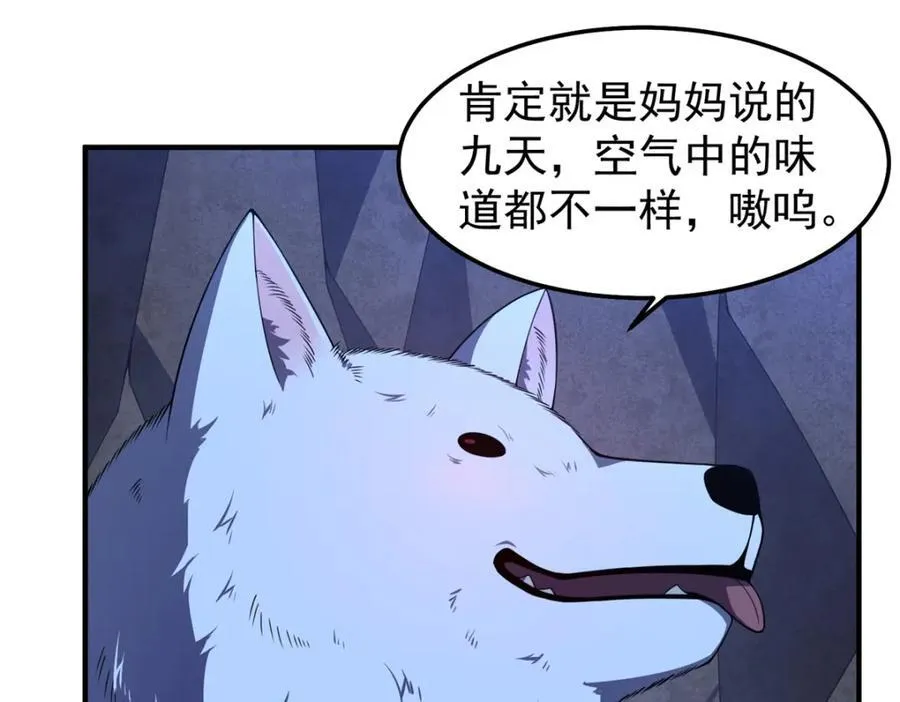 276 三头傻狗17