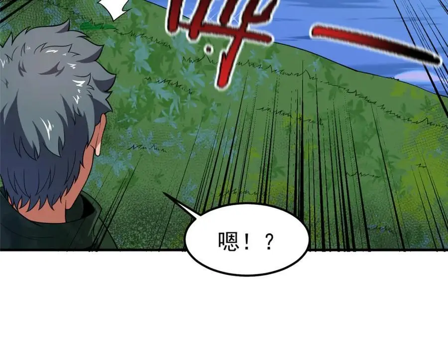 256 龙蚁86