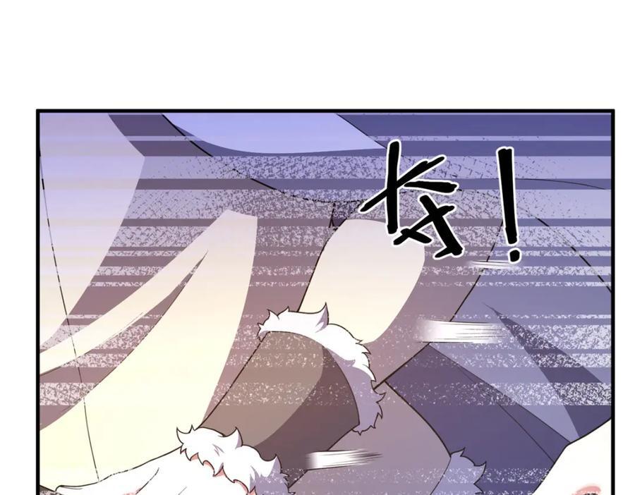 226 被坑的白寅67