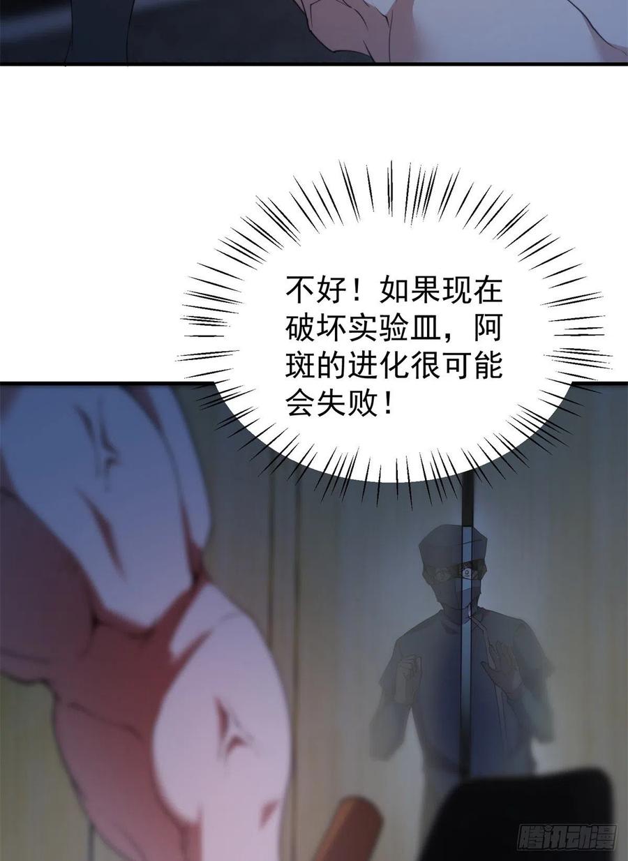 058 进化完美品质52