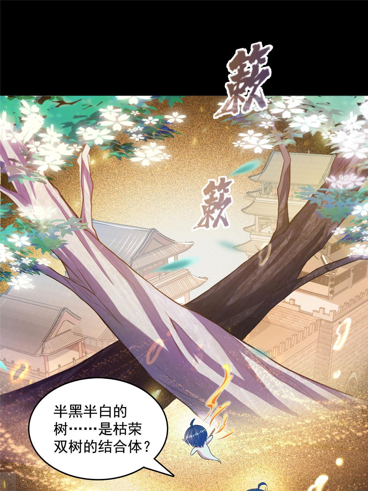 508 七颗金丹，齐了！50