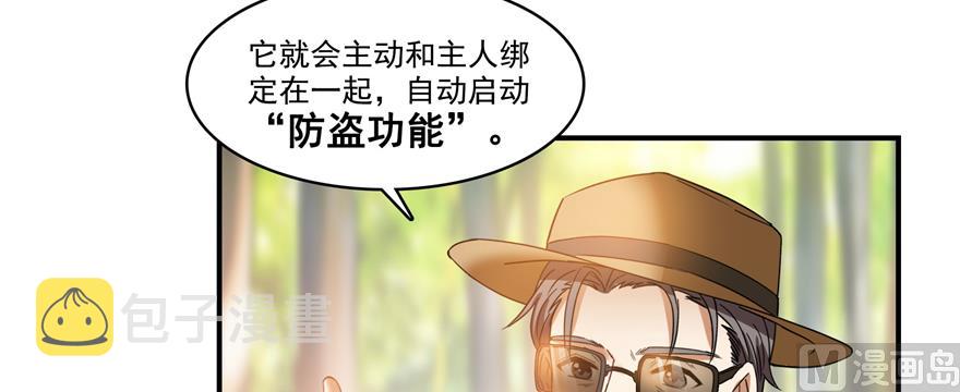 第248话碧玉袈裟的防盗功能25