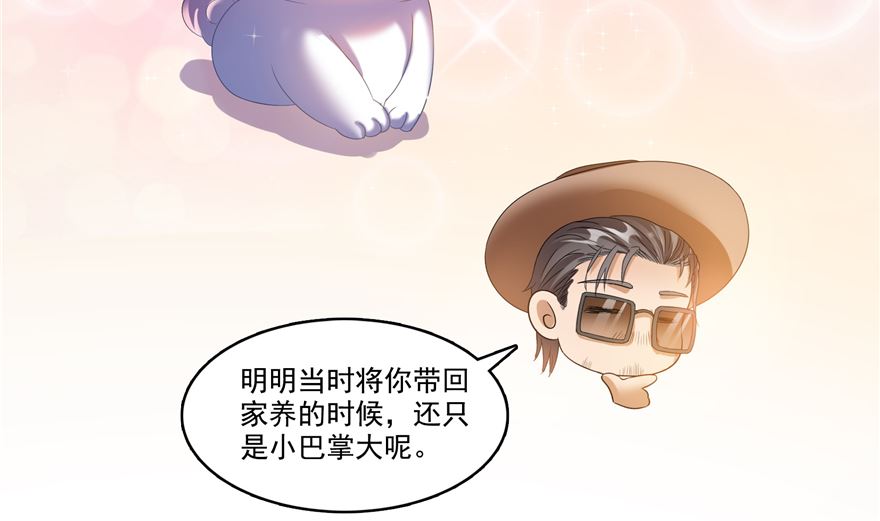 第254话 什么？该嫁人了？51