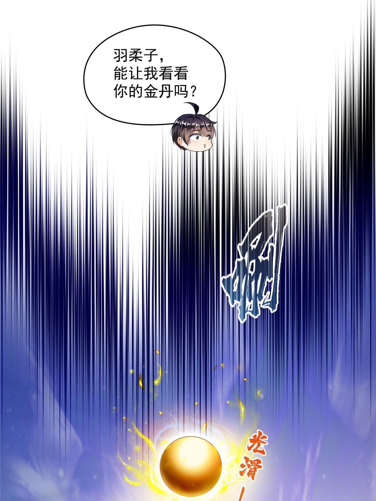540 无龙纹金丹41