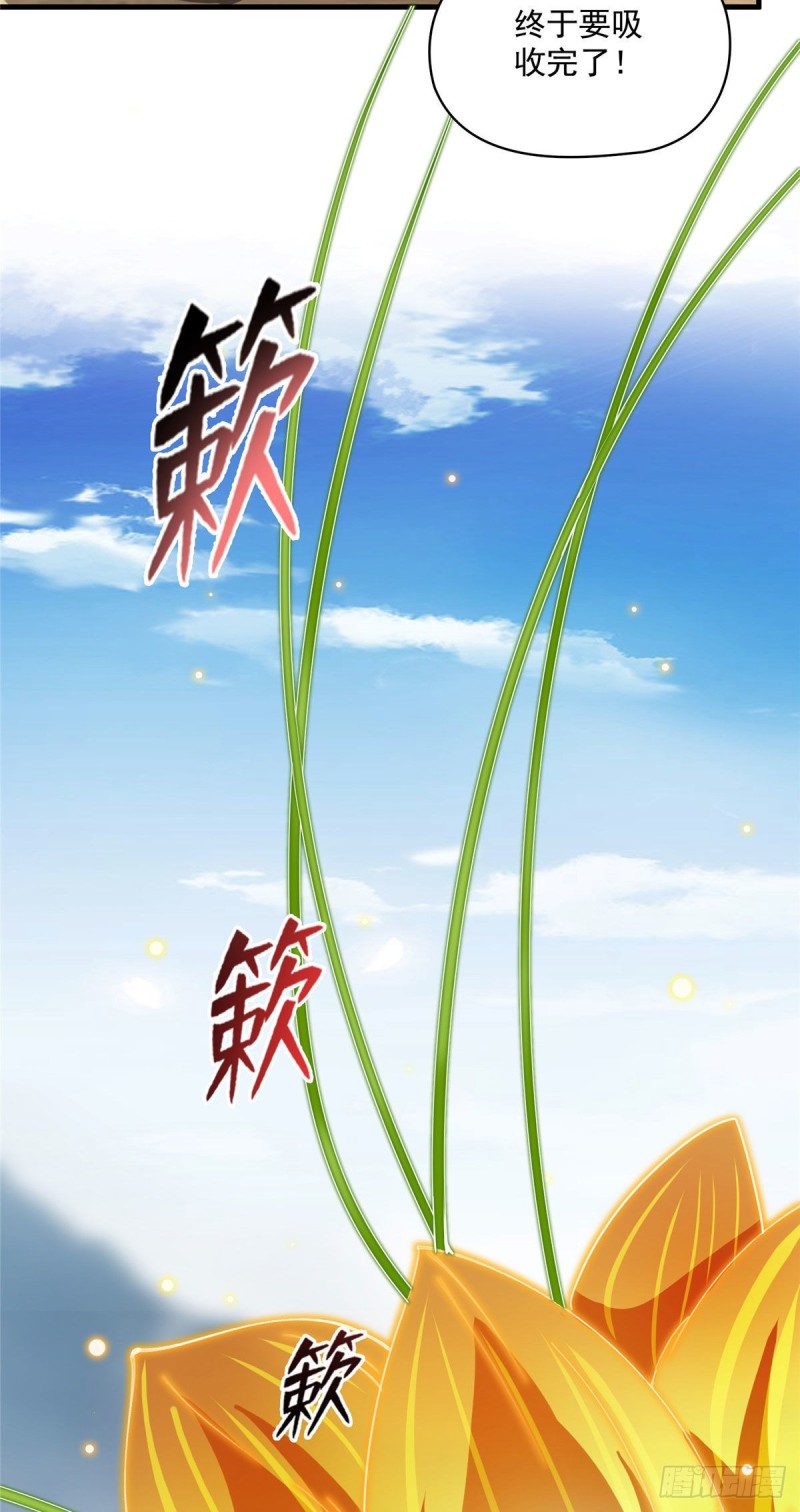 第372话 新世纪灵泉催生机2