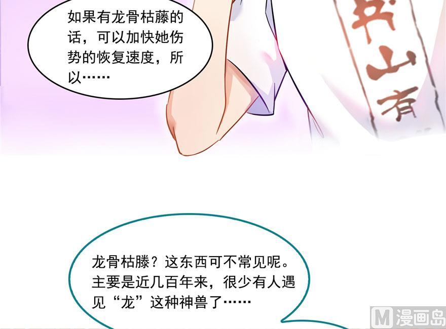 第187话 去见灵兽前辈25