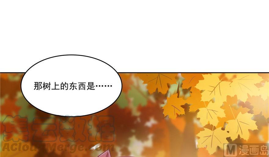 第187话 去见灵兽前辈45