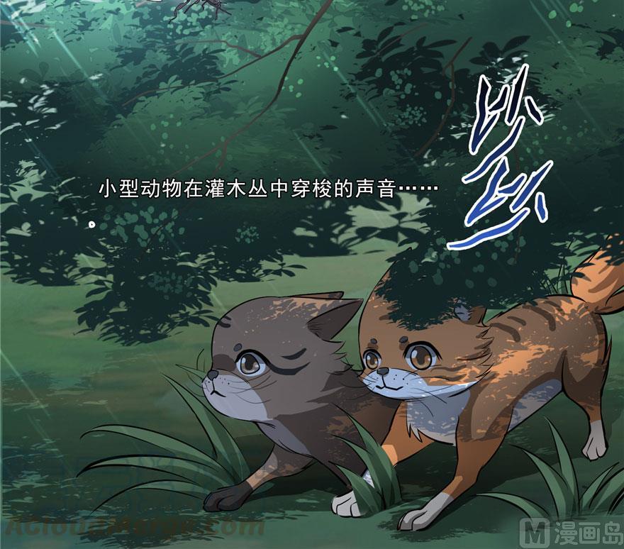 第169话 可怕的树枝探路法21