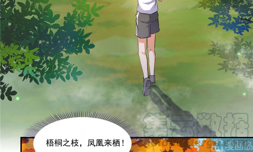 第187话 去见灵兽前辈39