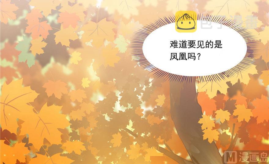 第187话 去见灵兽前辈41