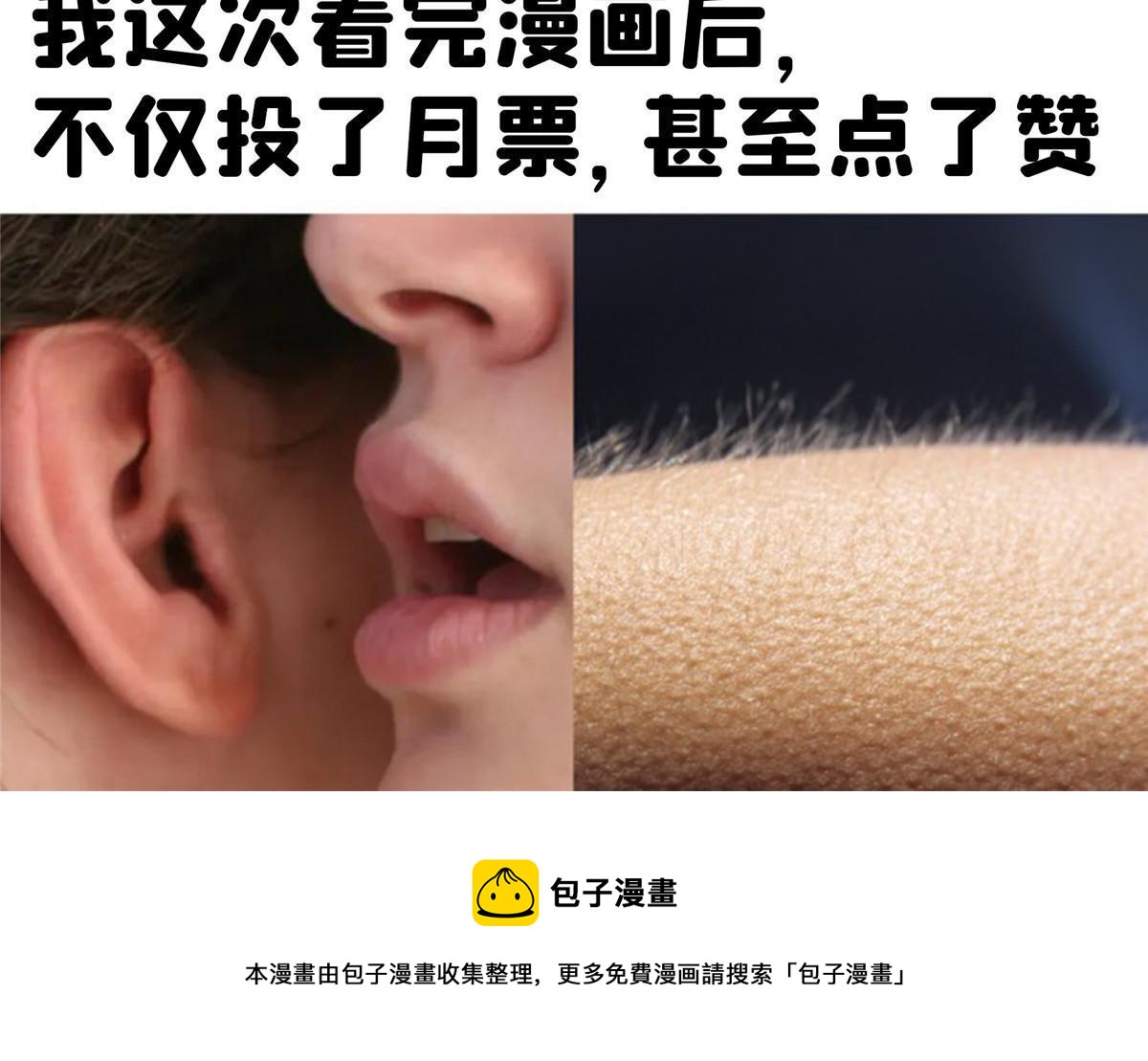 541 蝶宋白化黄·卦荔六豆凤56