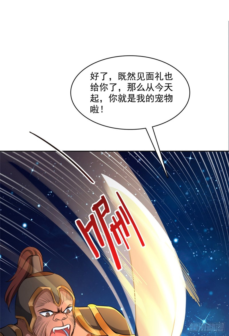 385我分给你143只圣猿影哩37