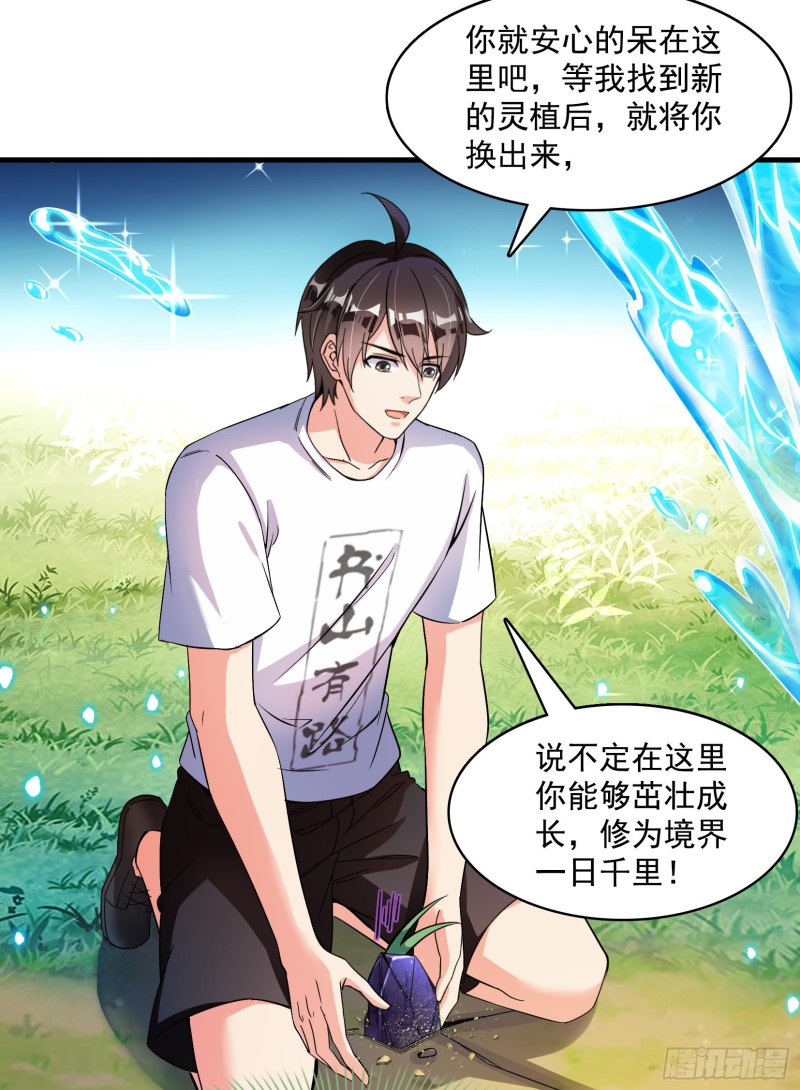第376话 出来了，随身一块地23
