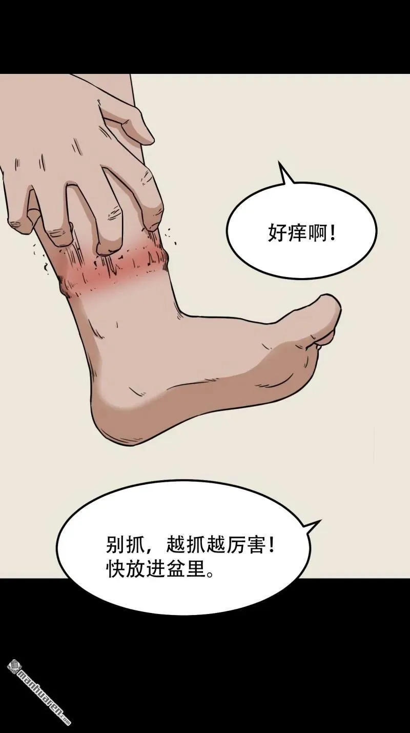第265回 小金童10