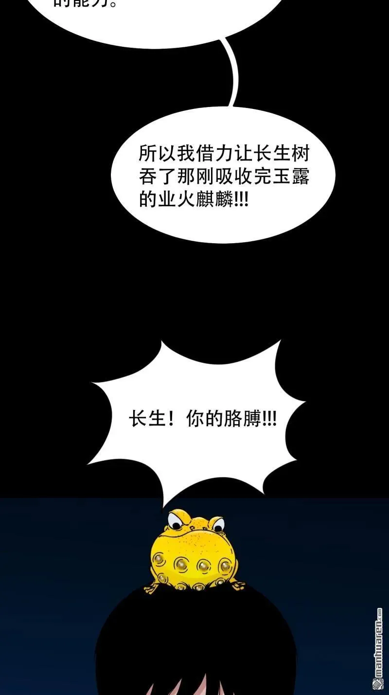 第243回 麒麟果23