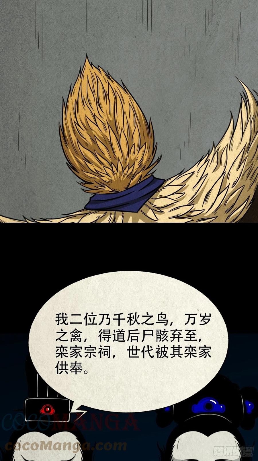 枭神15