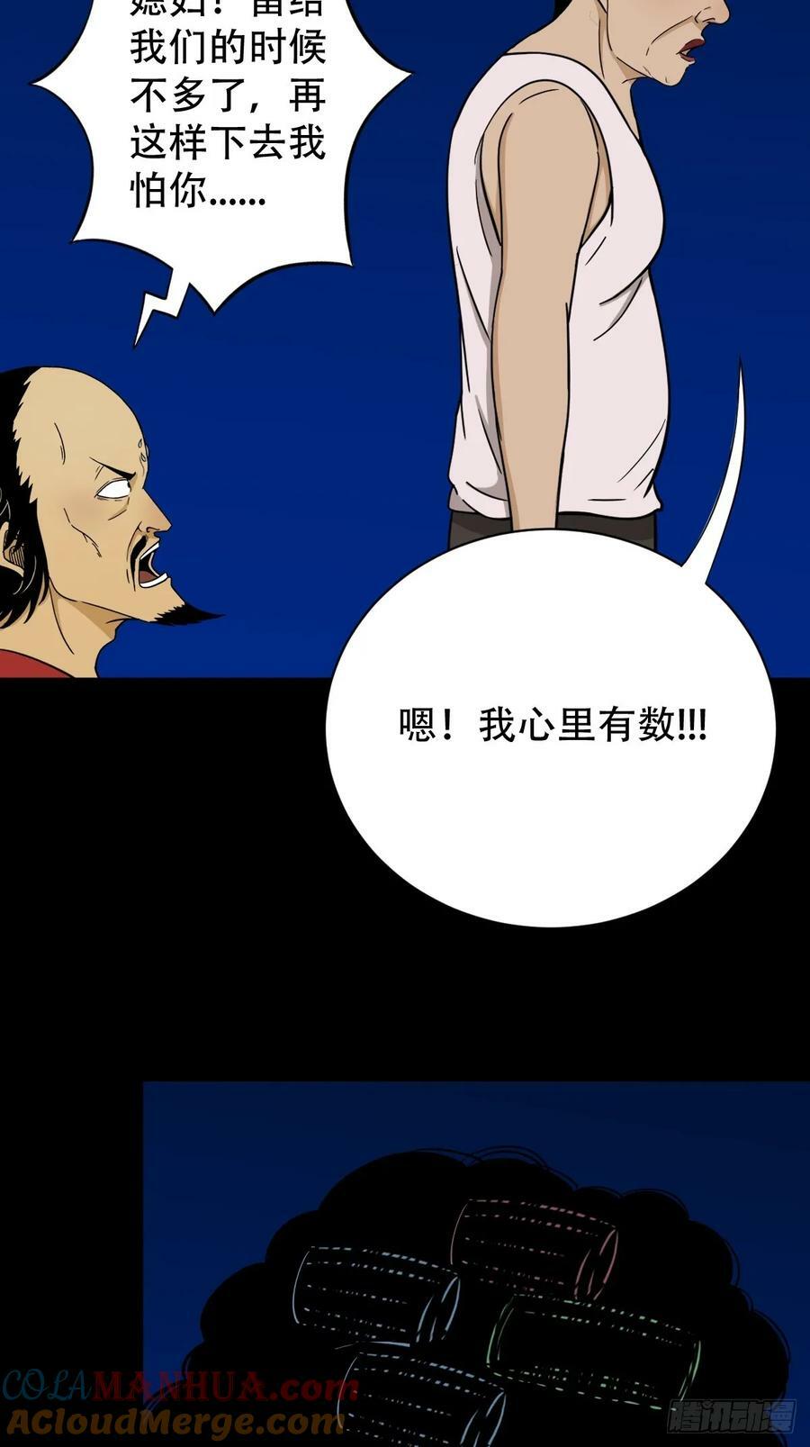 九首相柳21