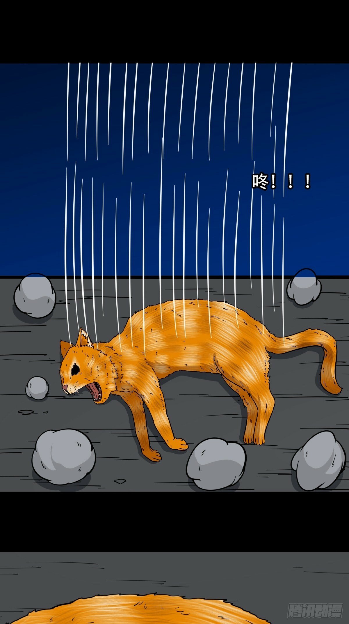 泉头村21