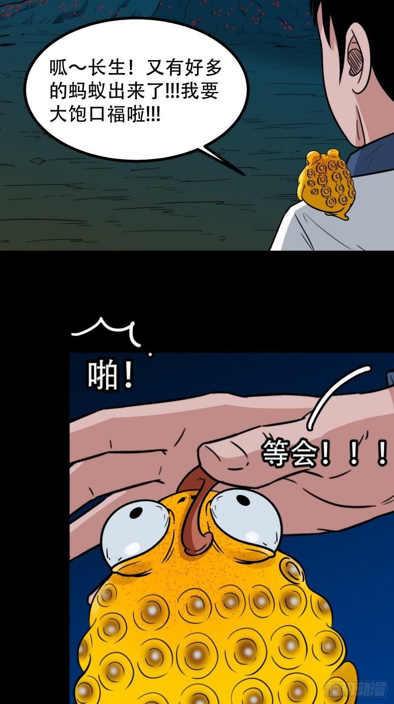 董槐56