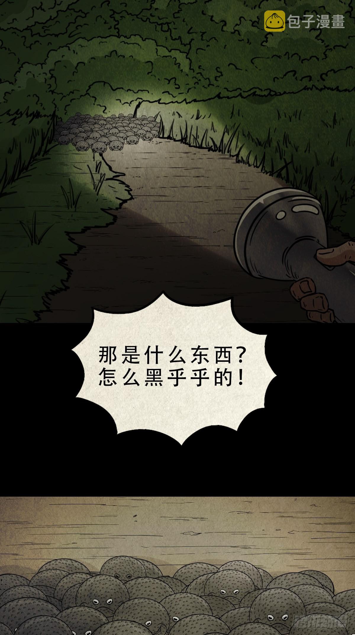 茱萸30