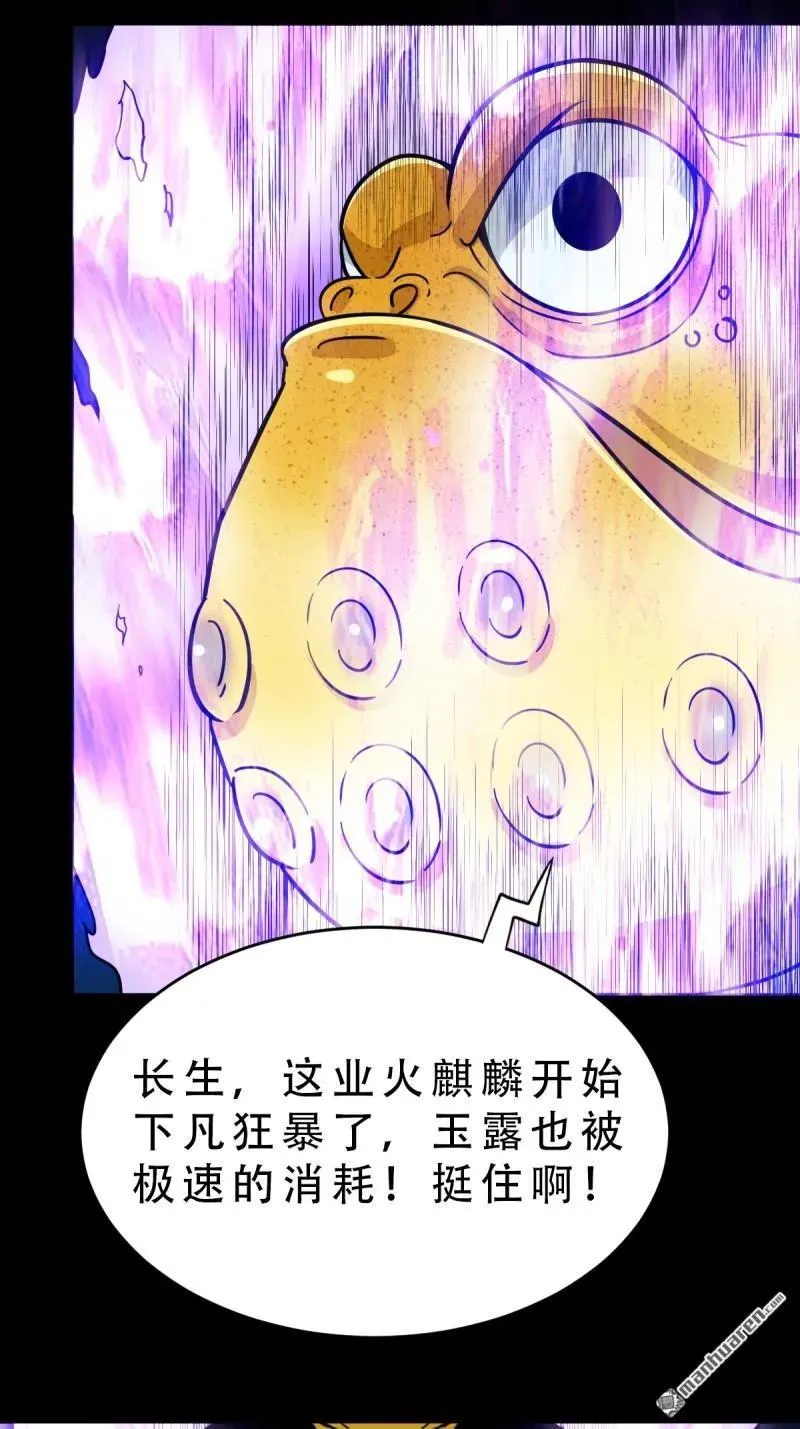 第243回 麒麟果8