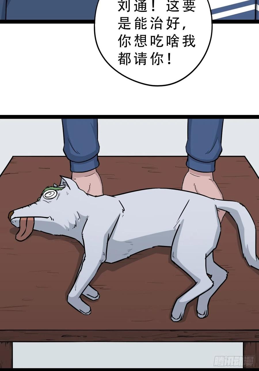 蛇吞蟾16