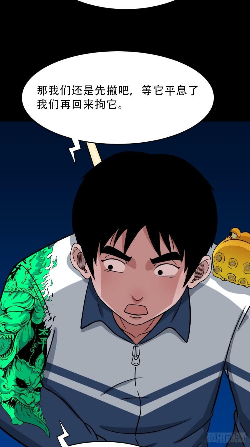 卢姑48