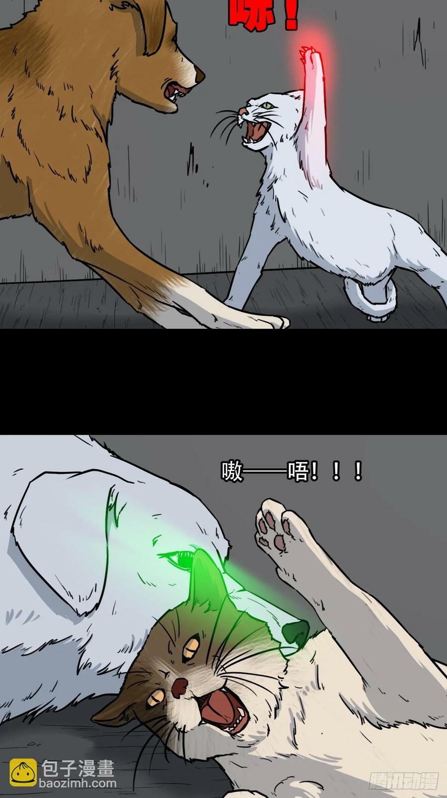 猫狗斗31