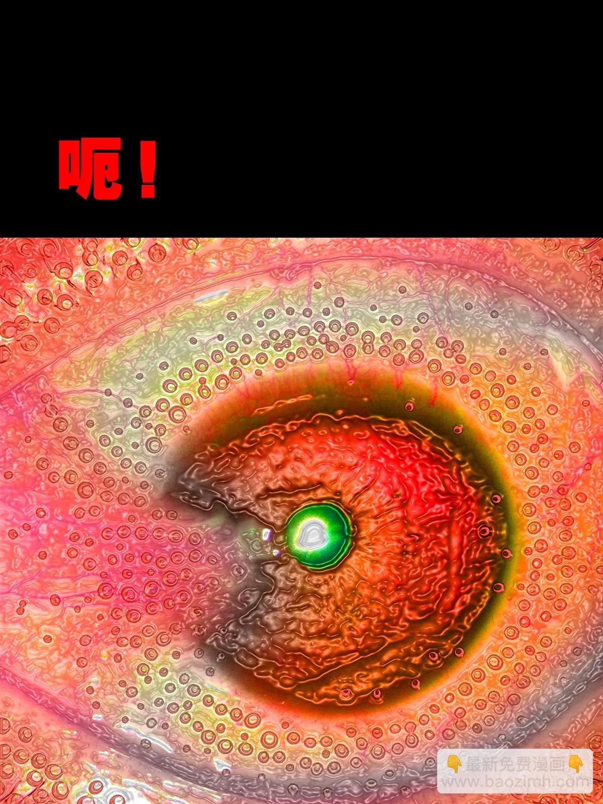 棱睁41