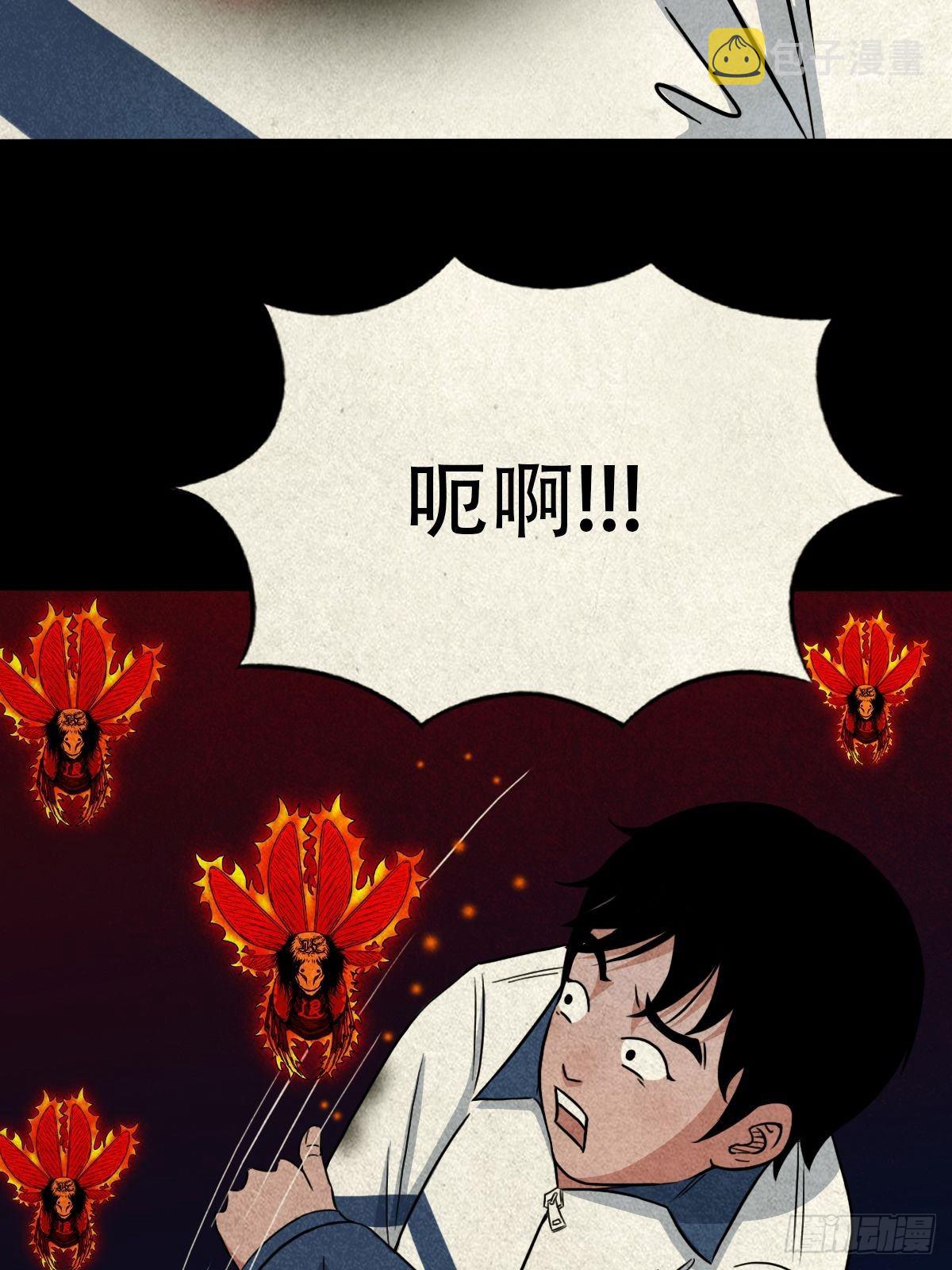 飞虎将军蟾15