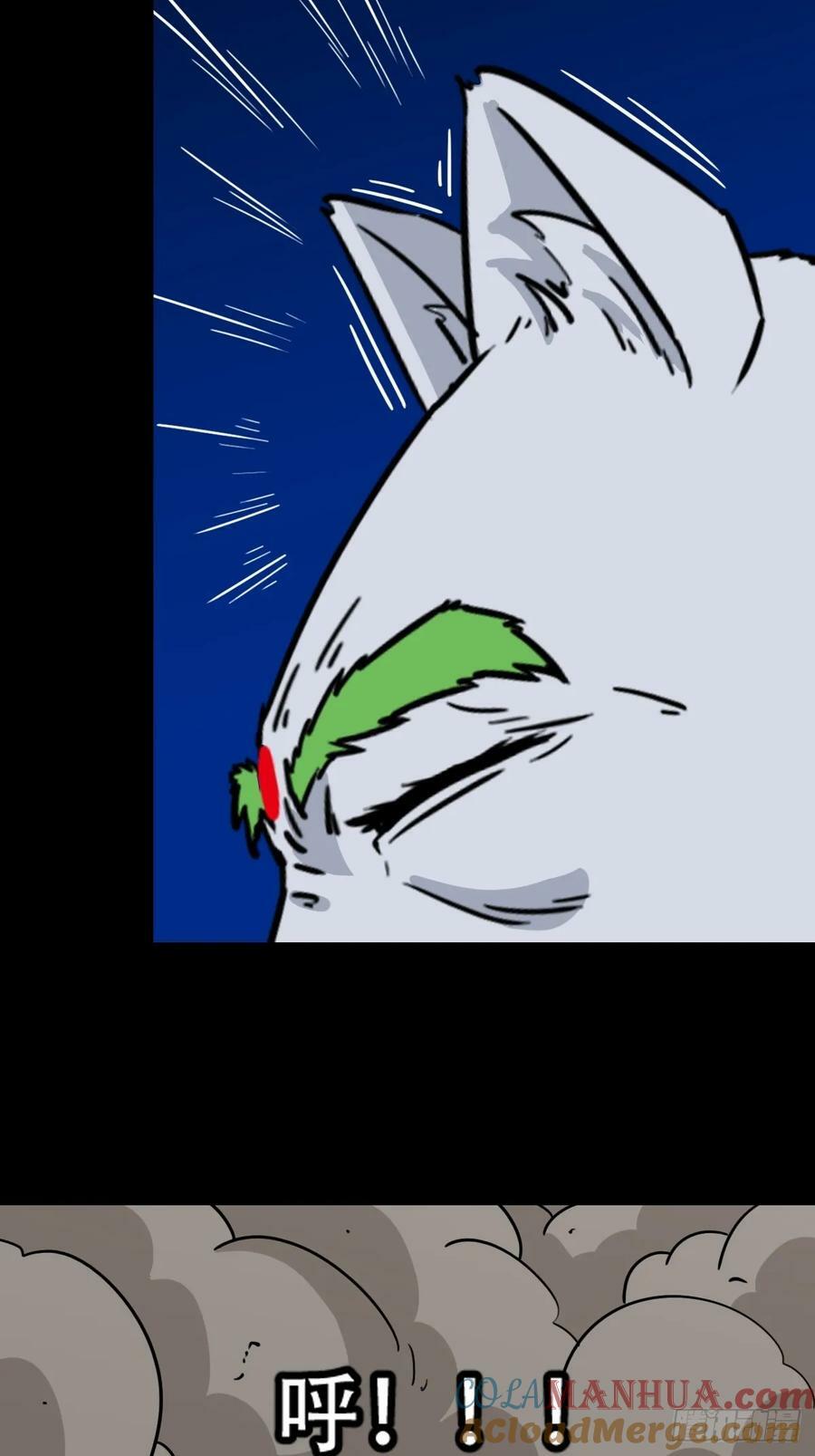 猫狗斗36