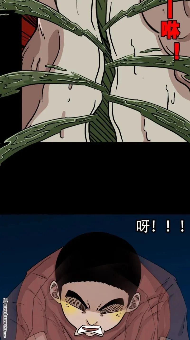 第270回 山凤8