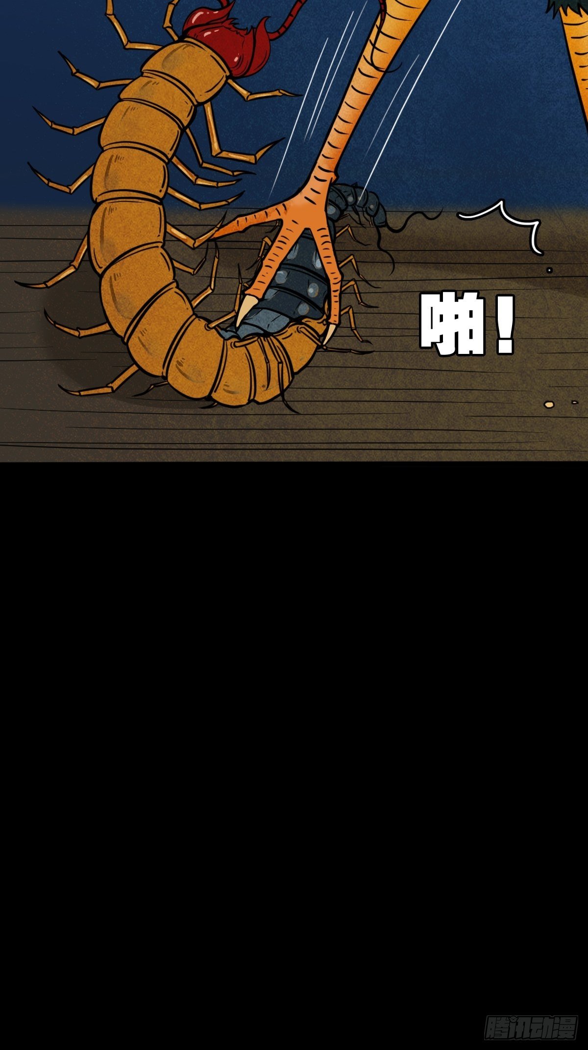 讨封（下）27