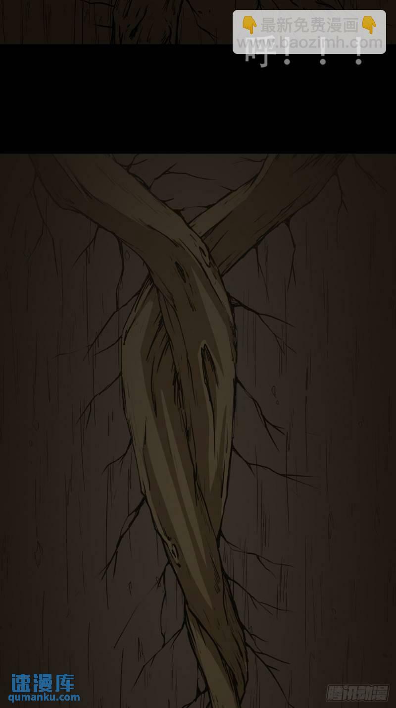 佛骨26