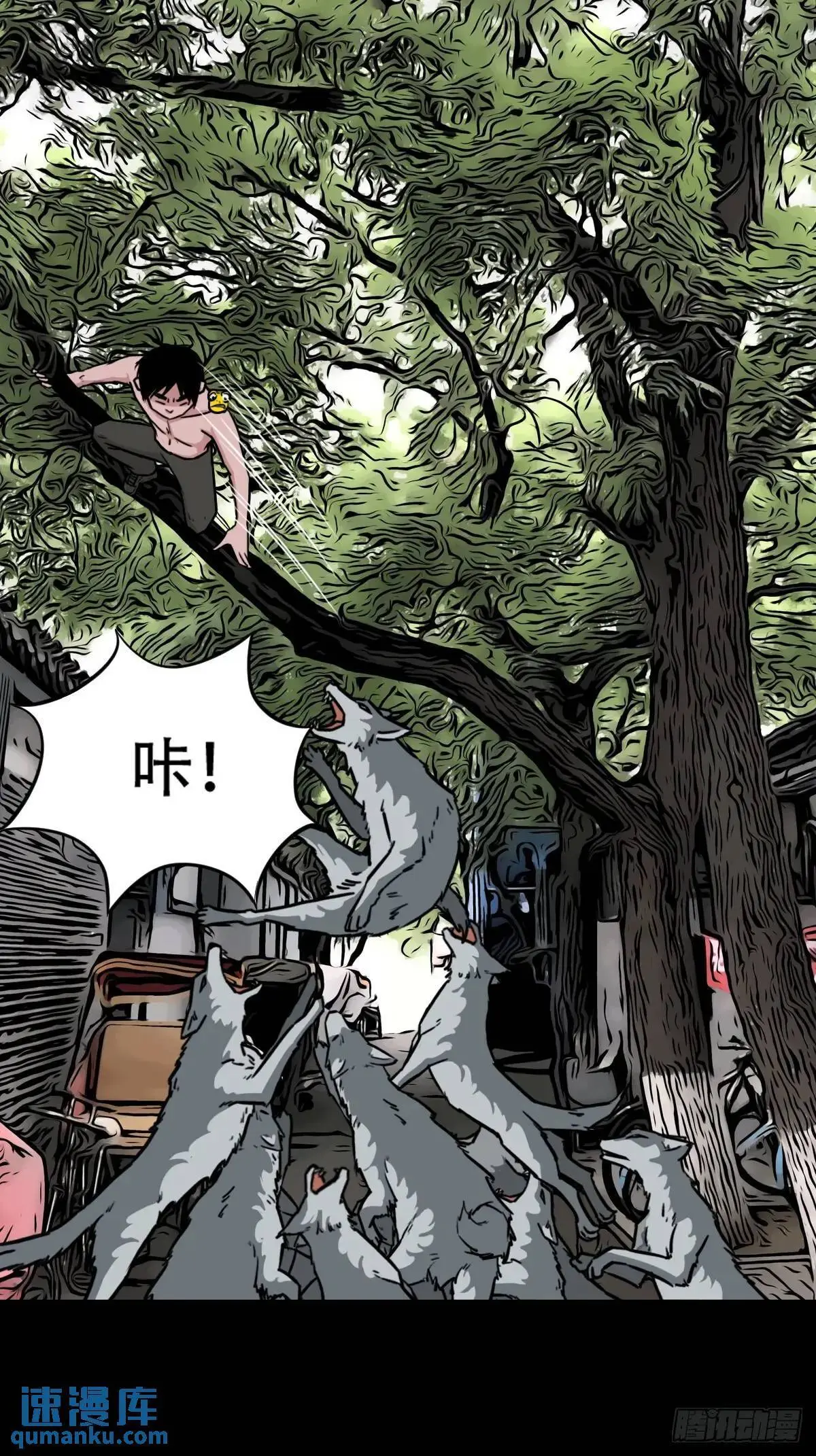 虎须镯22