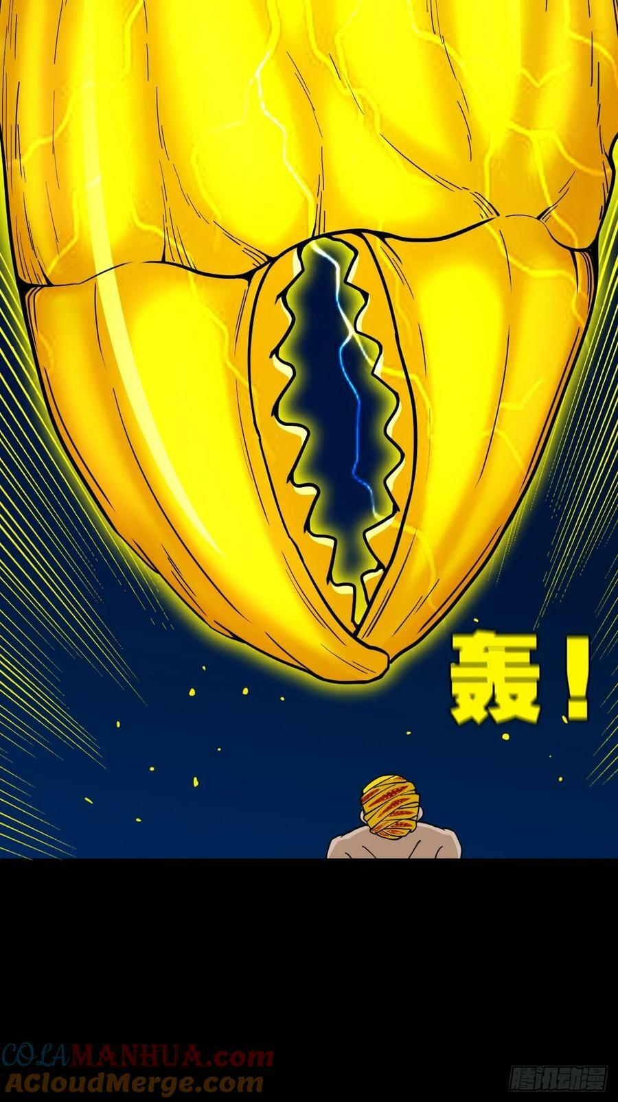 九首相柳45