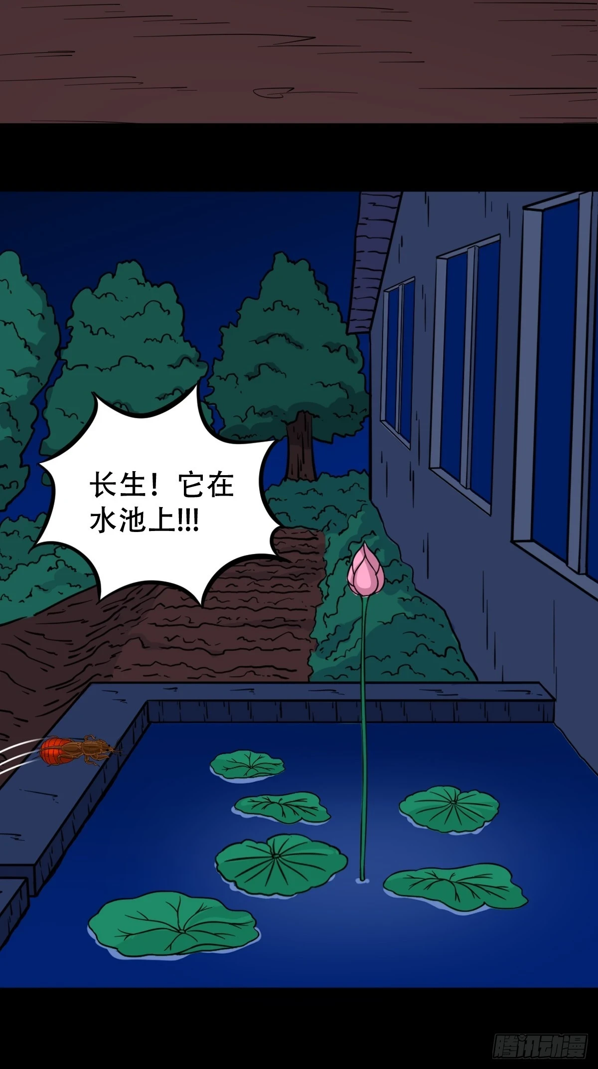 血蝲蛄48