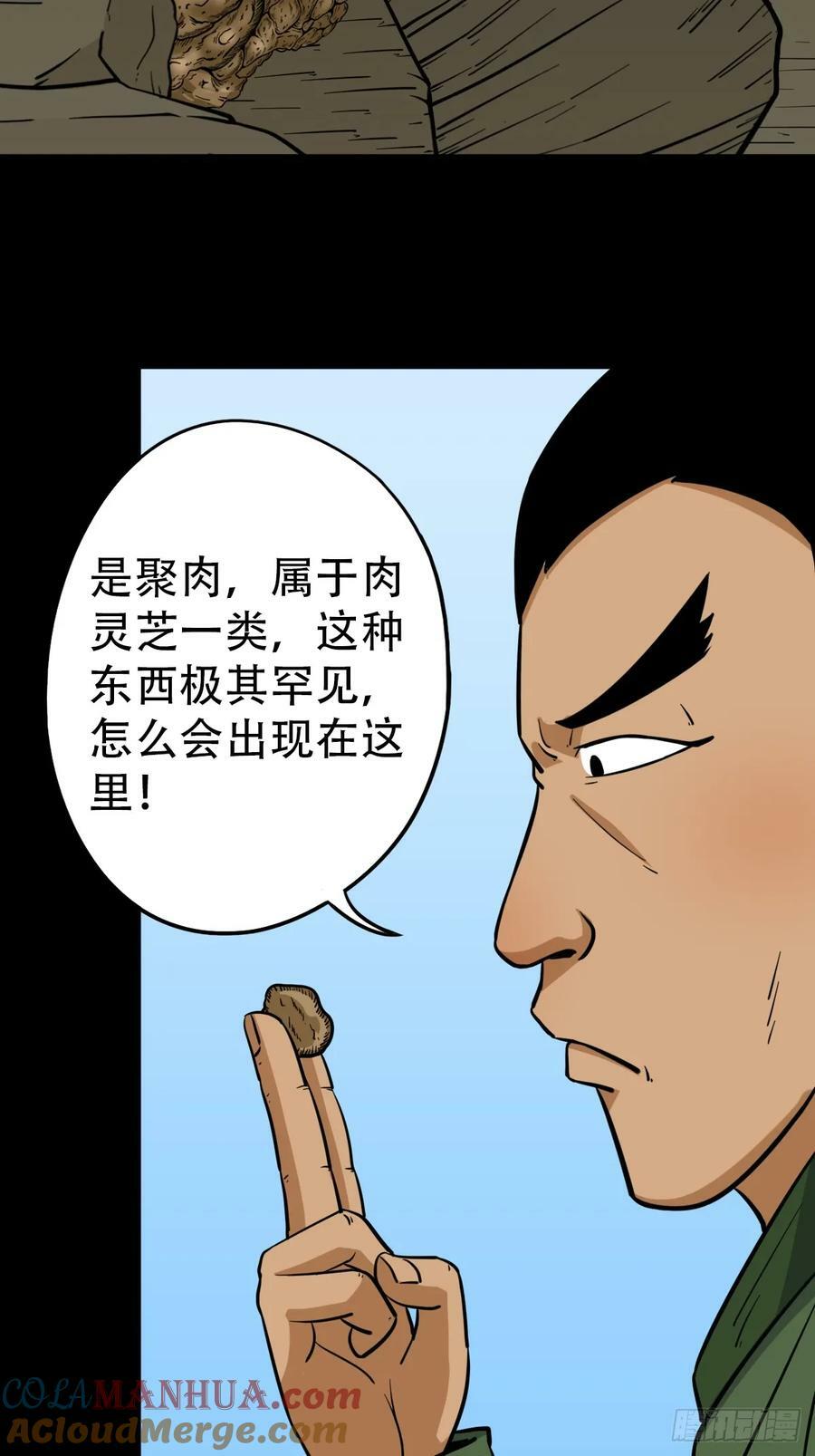 聚肉尸12